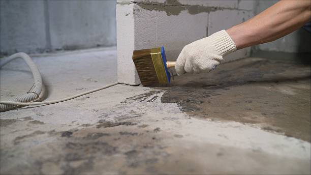 SJ Waterproofing Pros Crawl Space Encapsulation coverage map for Maysville, NC and surrounding area